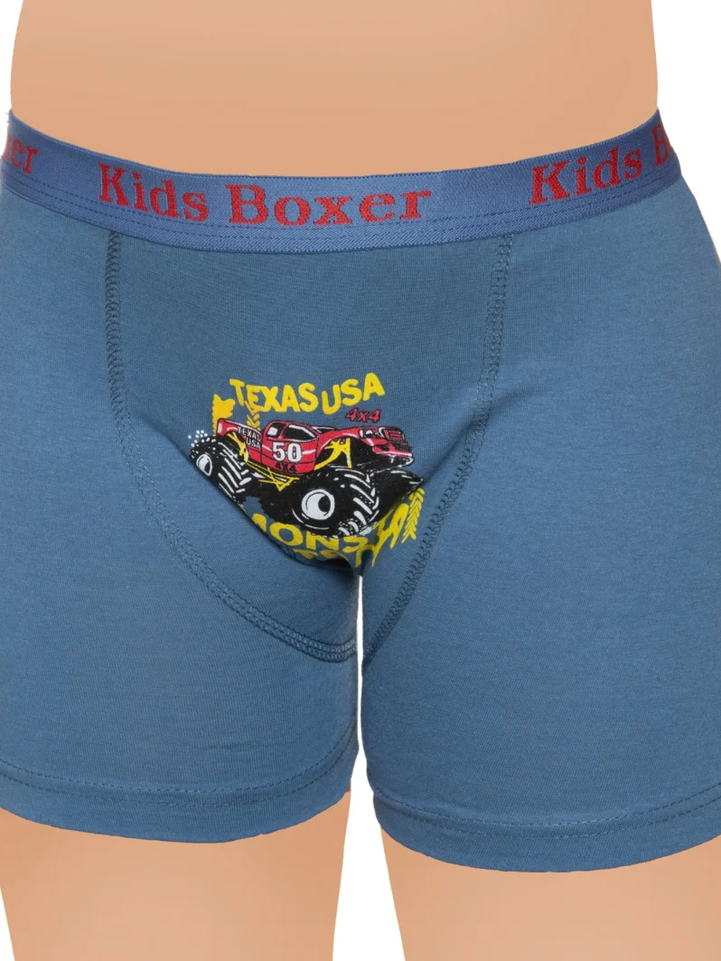 Toptan Sedef Yıldız Likralı Desenli Çocuk Boxer Modelleri | İmalattan Uygun Fiyatlı Sedef Yıldız Likralı Desenli Çocuk Boxer - ToptanİçGiyimPazarı