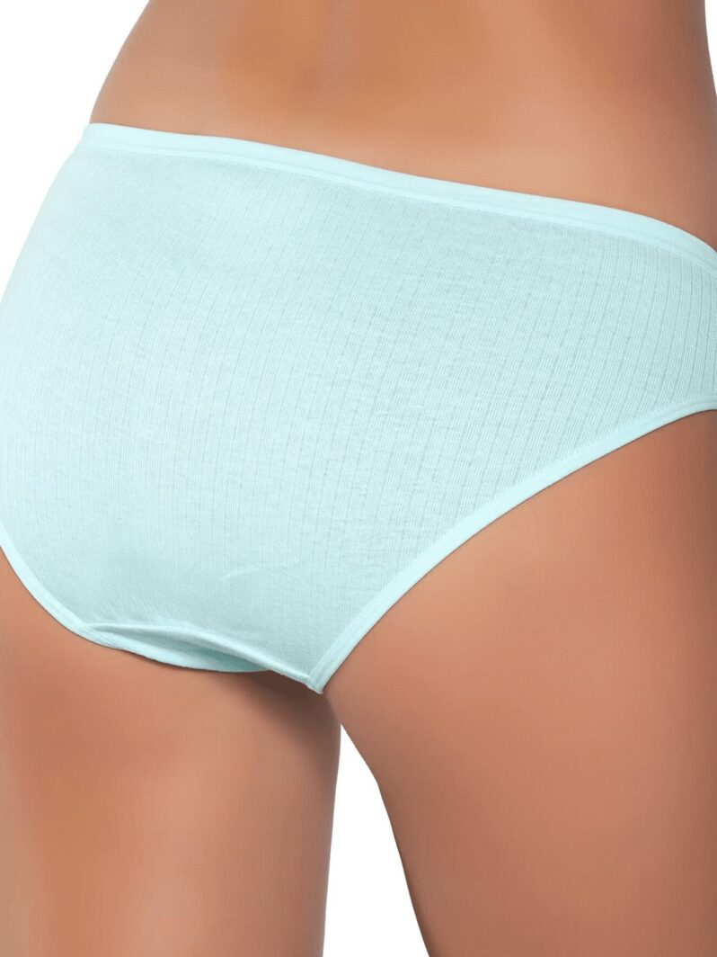 Gümüş İç Giyim 6095 Kadın Ribana İnce Bel Çizgili Bikini