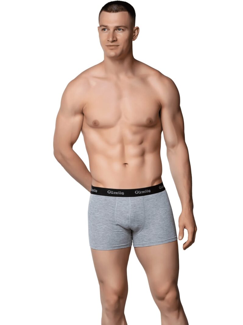 Gümüş 3074 Erkek Likralı Spor Boxer
