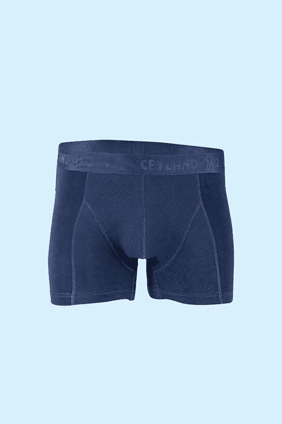 Ceylanoğlu Erkek Likralı Boxer