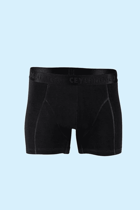Ceylanoğlu Erkek Likralı Boxer