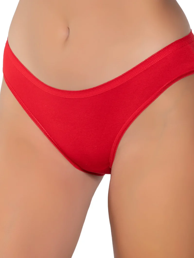 Toptan Gümüş 6088 Kadın Ribana Bikini Modelleri | İmalattan Uygun Fiyatlı Gümüş 6088 Kadın Ribana Bikini - ToptanİçGiyimPazarı