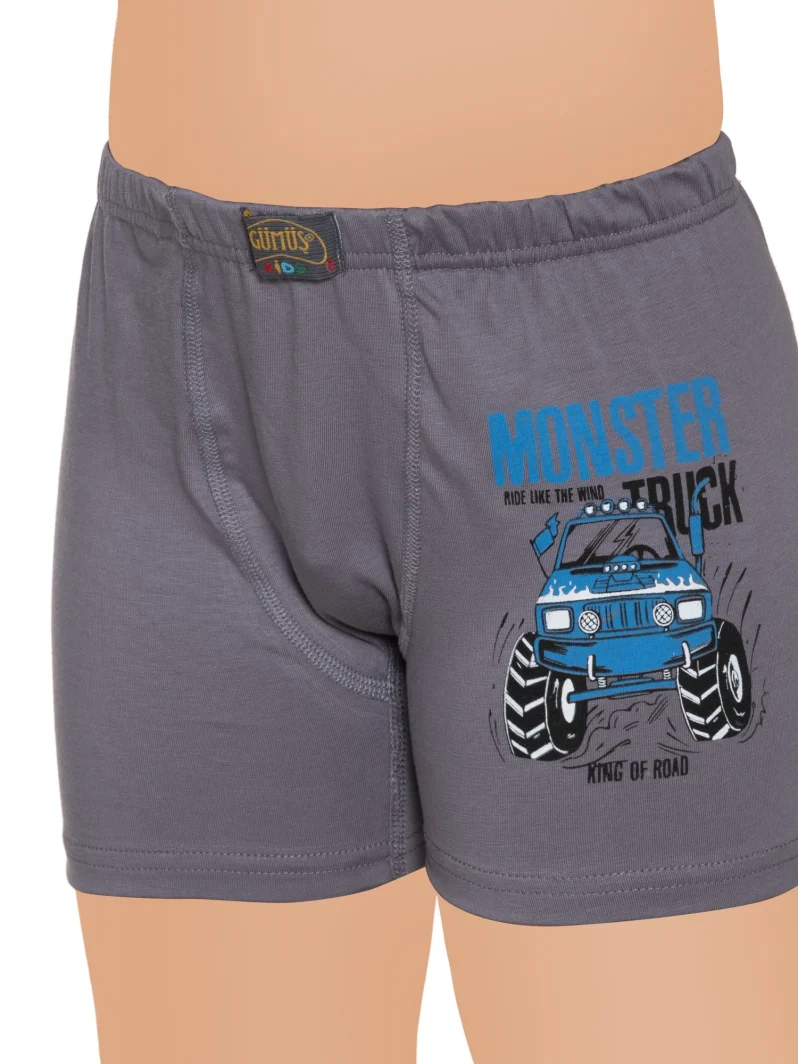 Gümüş 3110 Erkek Çocuk Likralı Baskılı Boxer