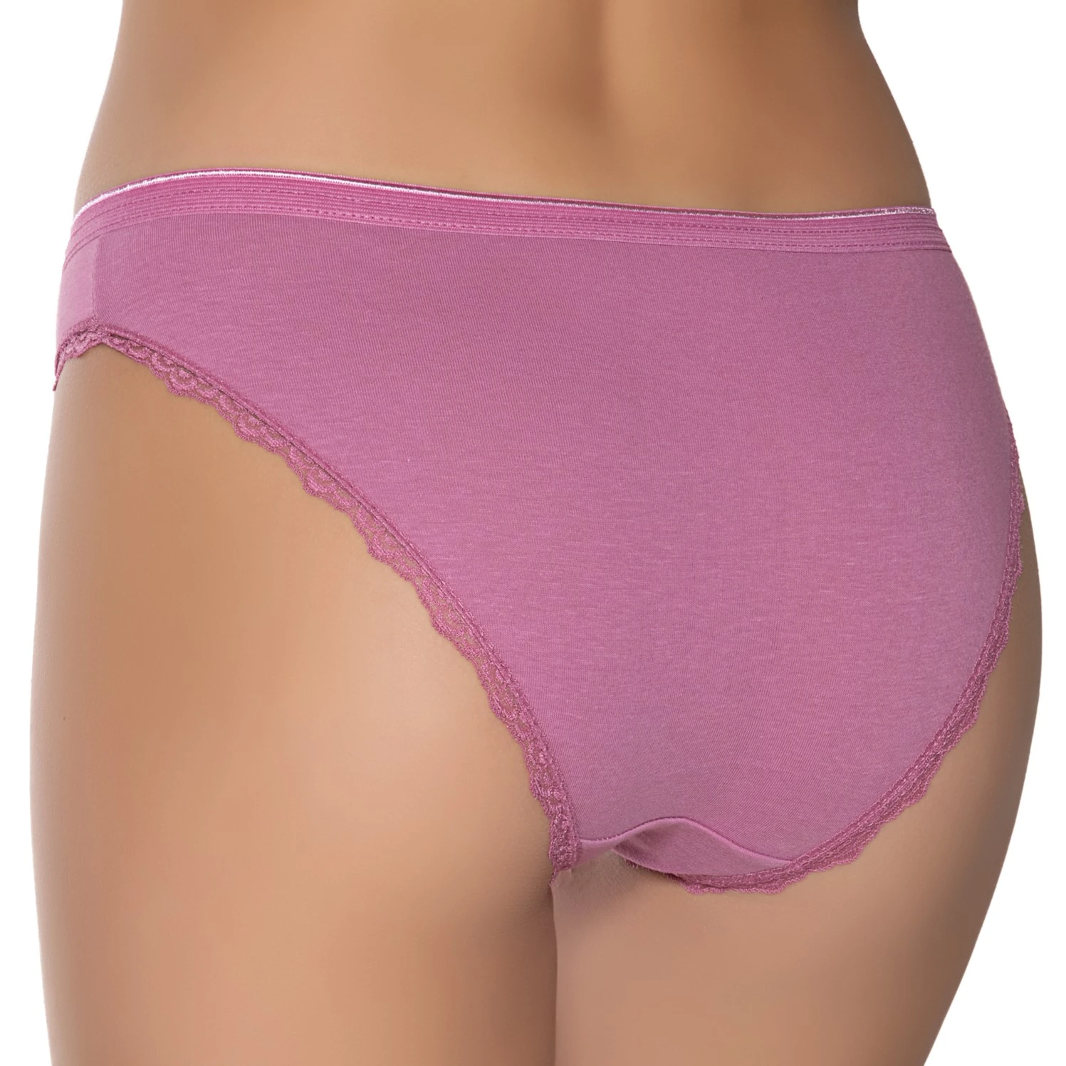 Gümüş İç Giyim 6094 Kadın Likralı İnce Bel Paçası Dantel Bikini