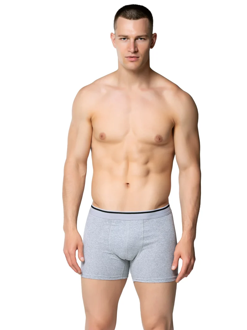 Sedef Yıldız Likralı Boxer Gri