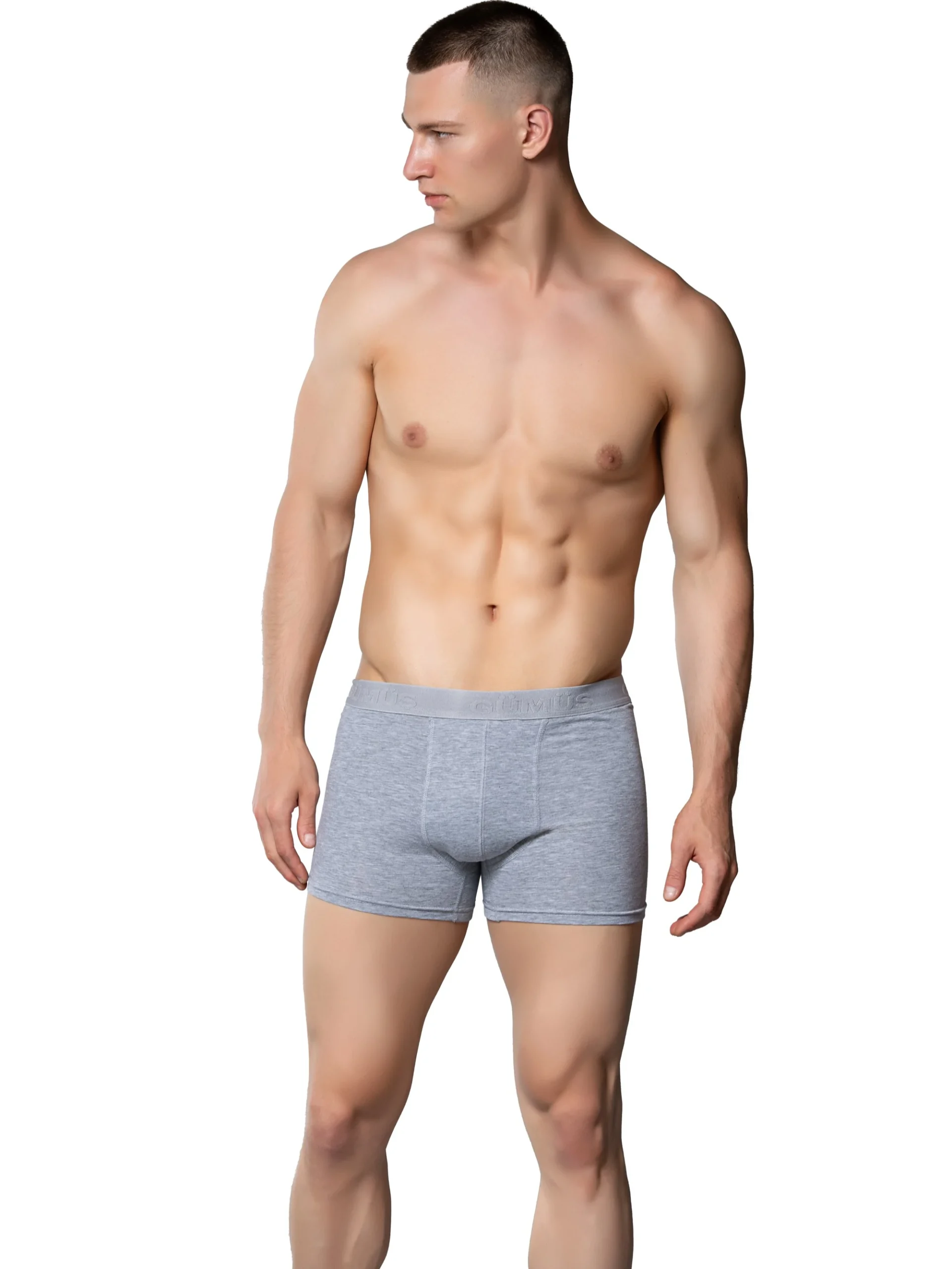 Gümüş 4018 Erkek Likralı Boxer Gri