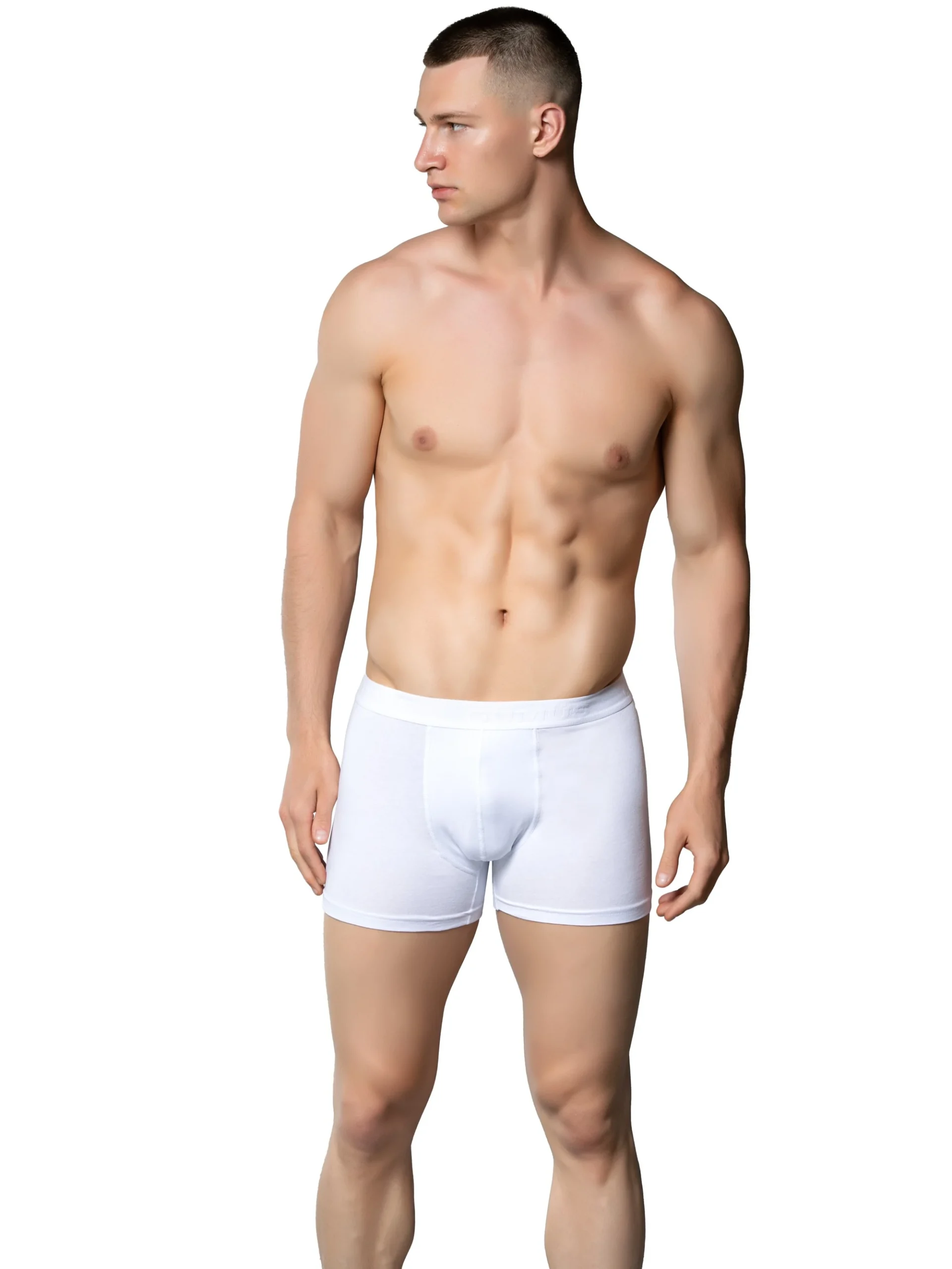 Toptan Gümüş 4018 Erkek Likralı Boxer Beyaz Modelleri