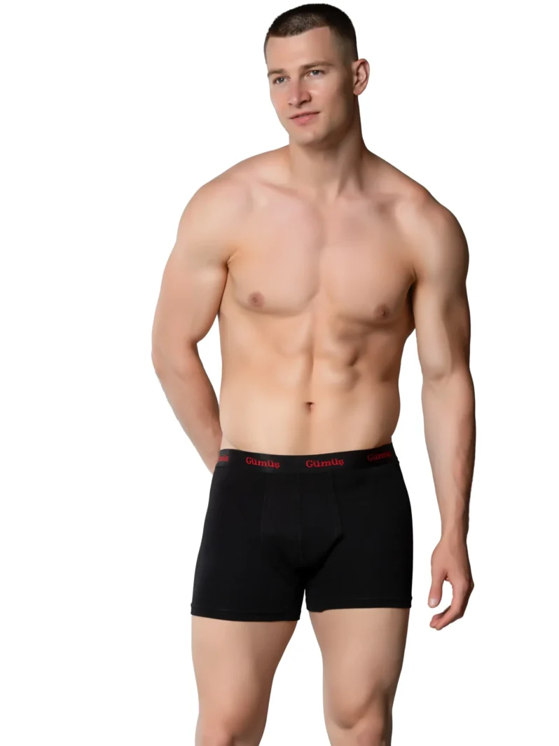 Gümüş 3074 Erkek Likralı Spor Boxer