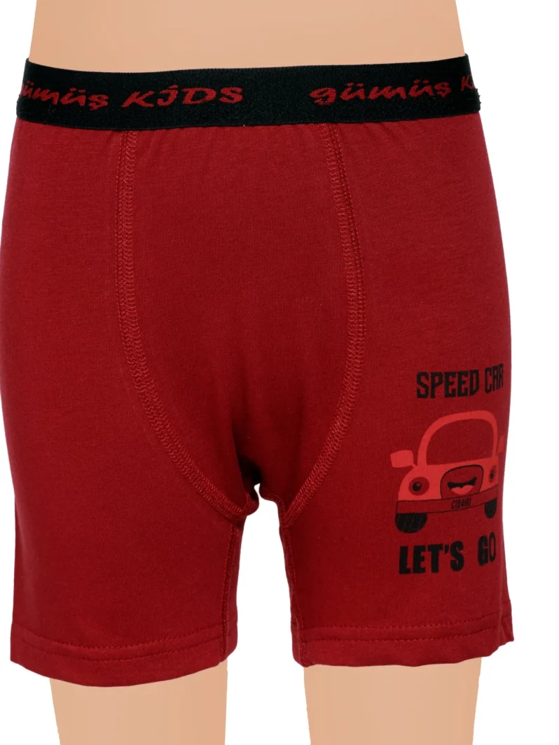 Gümüş 3112 Erkek Çocuk Likralı Renkli Baskılı Boxer