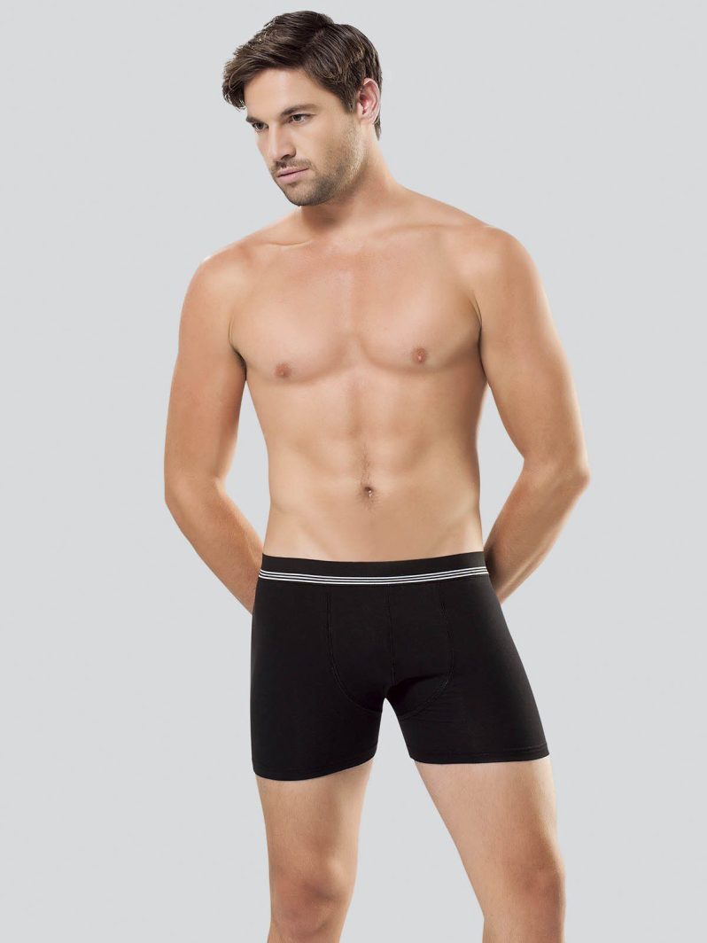 Anıt Çizgili Licralı Erkek Boxer