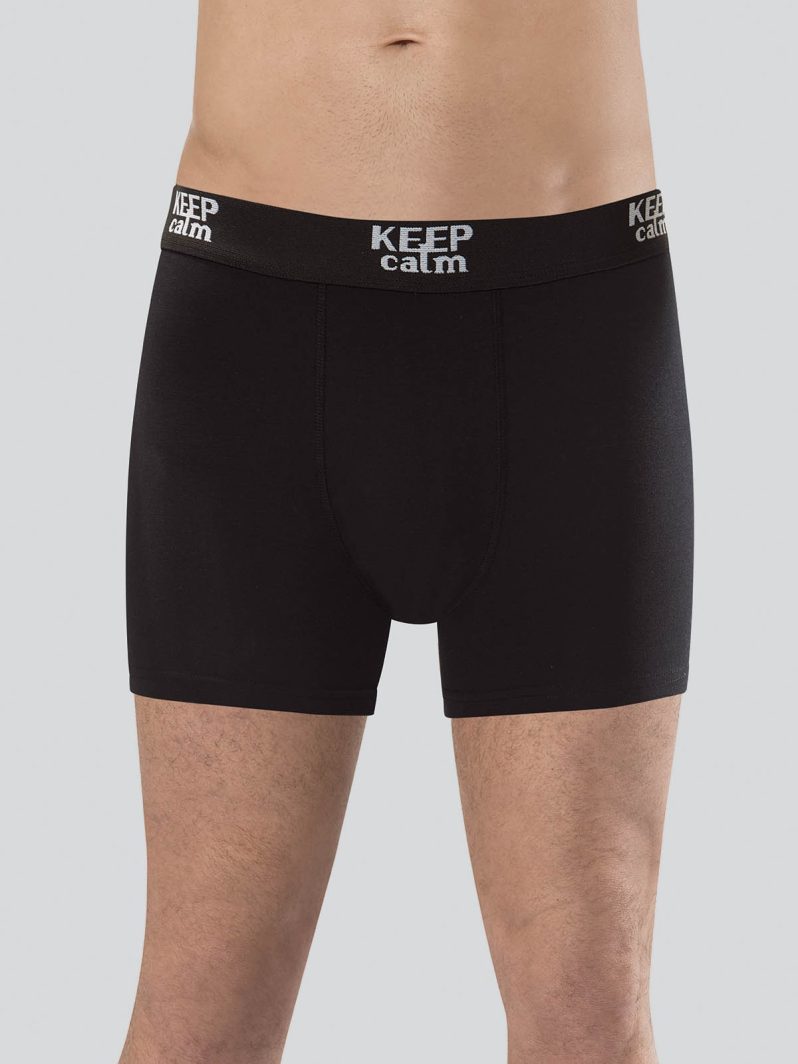 Anıt Modal Boxer
