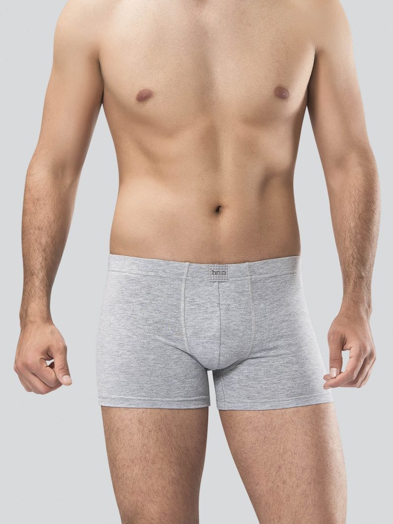 Anıt Boxer