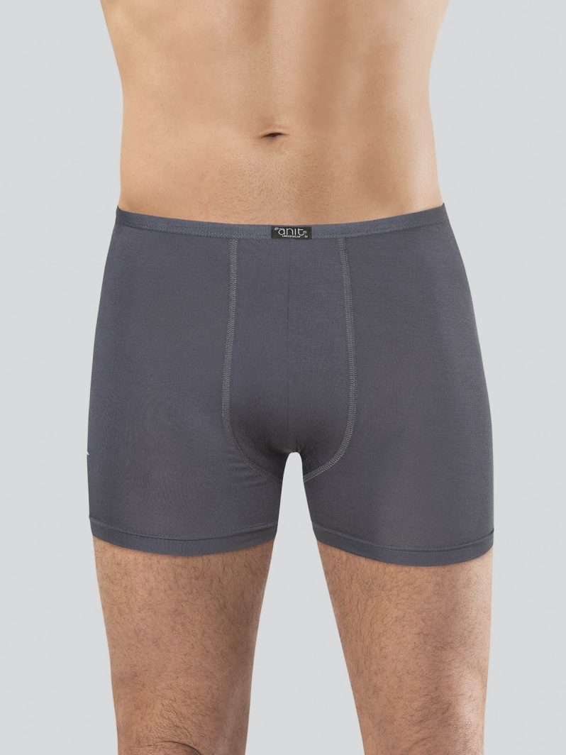 Anıt Bambu Boxer