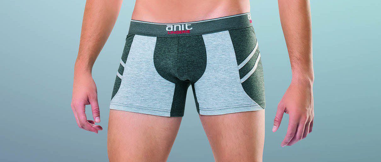 Anıt Yanı Çizgili Boxer