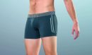 Anıt Model Erkek Boxer