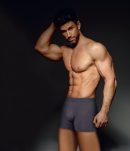 Anıt Bambu Jakarlı Boxer
