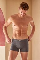 Toptan Berrak Erkek Likralı Boxer Short | Uygun Fiyatli Berrak Erkek Likralı Boxer Short - Toptan Ic Giyim Pazari