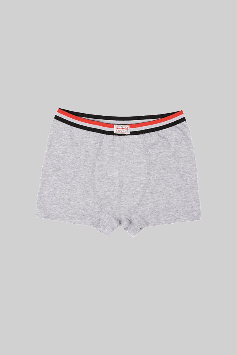 Ceylanoğlu Likralı Erkek Çocuk Boxer