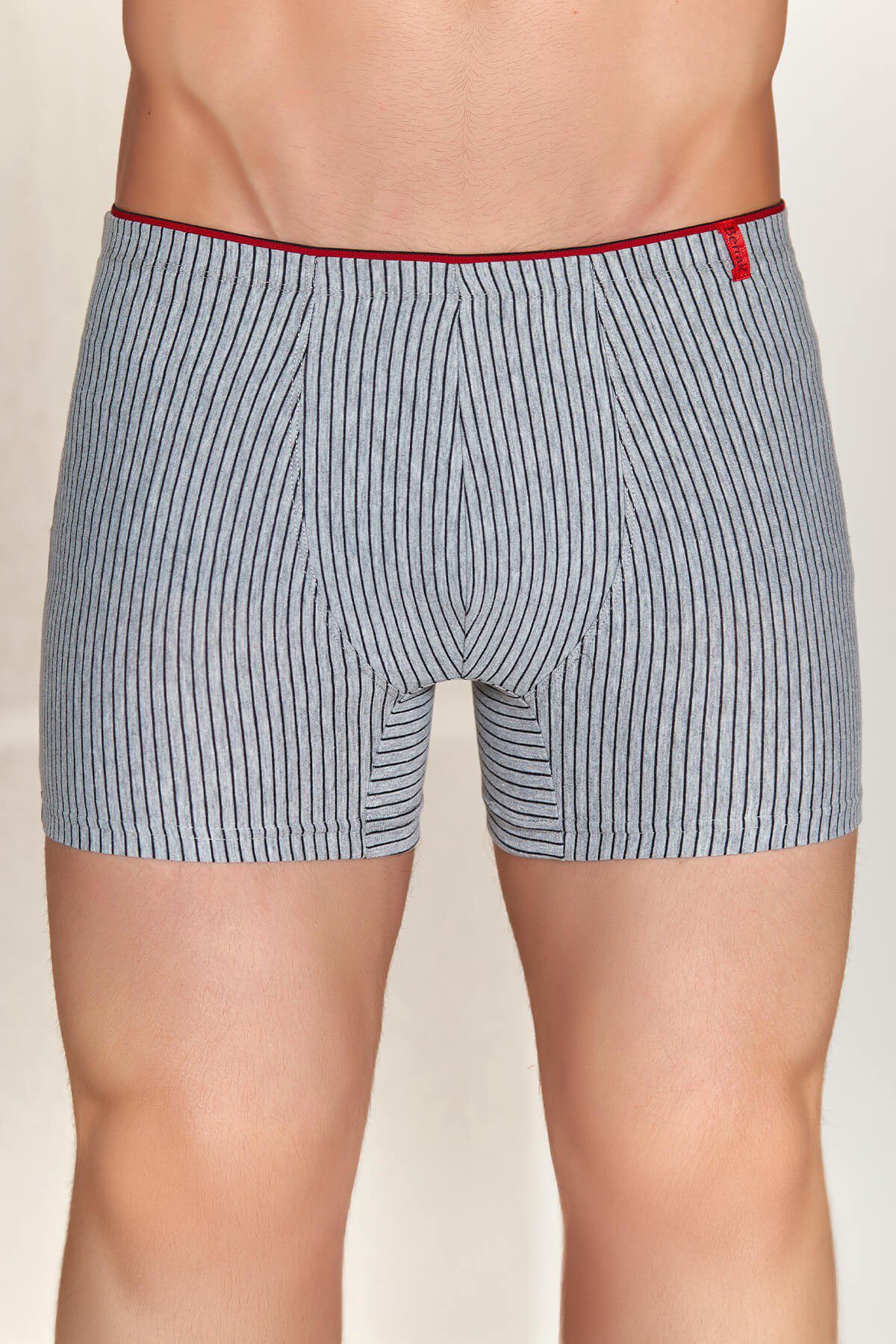 Toptan Berrak Erkek Boxer Short Berrak 4433 | Uygun Fiyatli Berrak Erkek Boxer Short Berrak 4433 - Toptan Ic Giyim Pazari