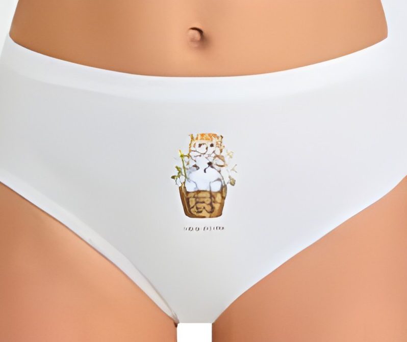 Toptan Berrak Kız Çocuk Bikini 3' Lü Berrak 5653 Modelleri | İmalattan Uygun Fiyatlı Berrak Kız Çocuk Bikini 3' Lü Berrak 5653 - ToptanİçGiyimPazarı