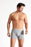 Tutku İç Giyim Elastan Boxer Gri