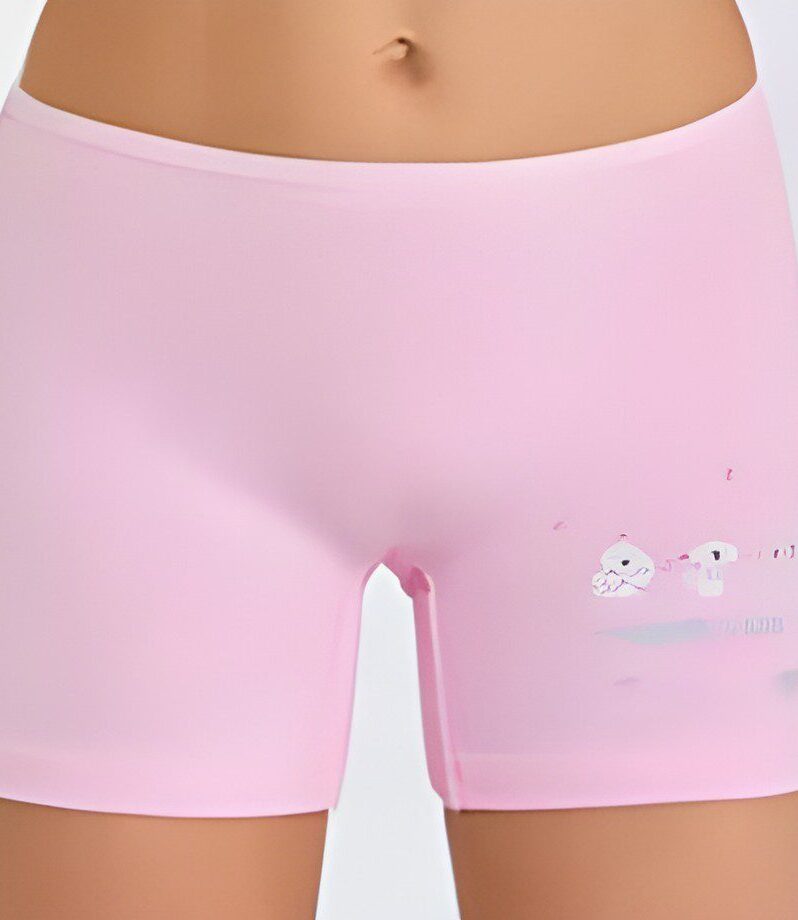 Toptan Berrak Kız Çocuk Boxer Short 3' Lü BRK 5658 - 5-6 Modelleri | İmalattan Uygun Fiyatlı Berrak Kız Çocuk Boxer Short 3' Lü BRK 5658 - 5-6 - ToptanİçGiyimPazarı