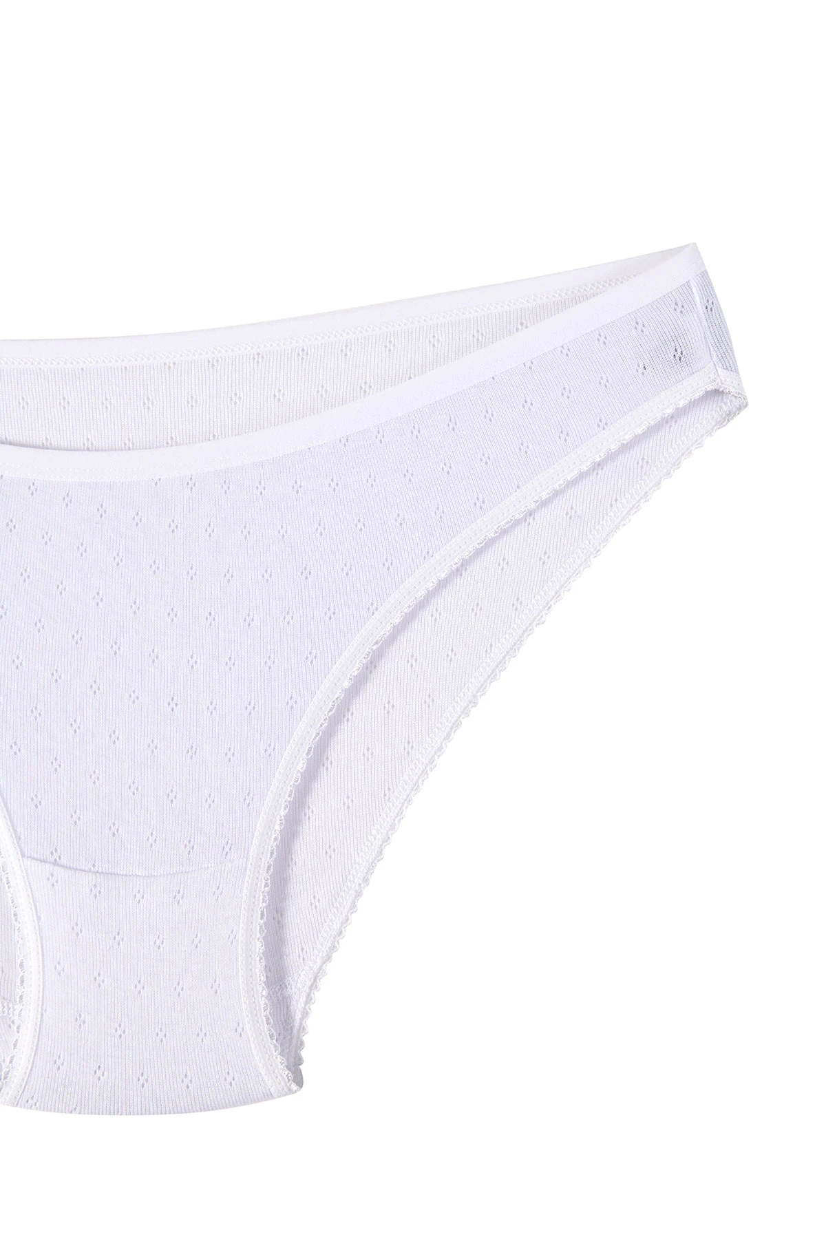 Tutku Kadın Sofia Bikini Külot