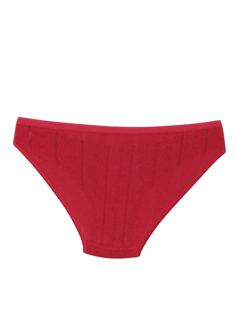 Tutku Kadın Jakarlı Bikini Külot Vişne