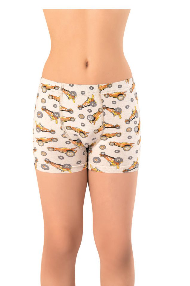 Kota 1013 Baskı Asortili Penye Boxer
