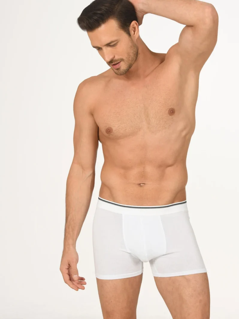 Erkek Boxer – NBB 735