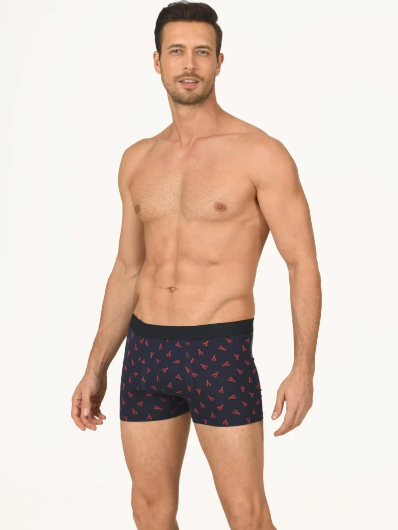 NBB Erkek Boxer