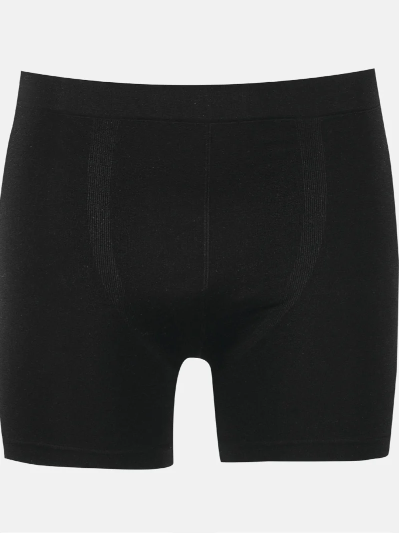 Erkek Boxer – NBB 739